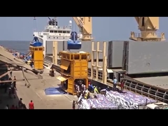 empaquetadora en contenedor del móvil